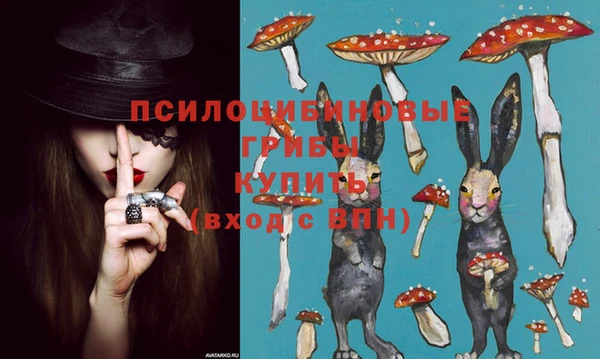 а пвп мука Дмитриев