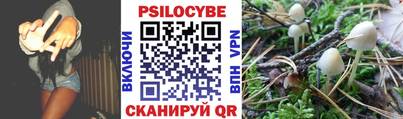 купить закладку  Октябрьск  Псилоцибиновые грибы мухоморы 